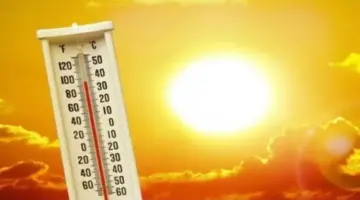 درجات الحرارة ..طقس شديد الحرارة نهارا والقاهرة 31 للعظمى -جريدة المال